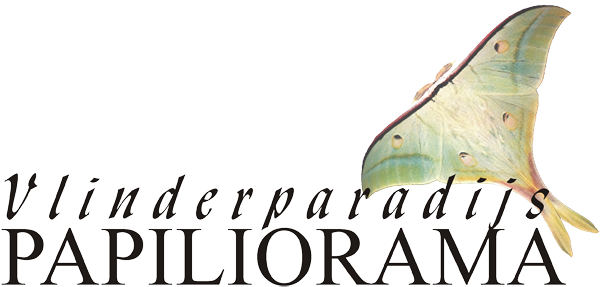 Vlinderparadijs Papiliorama