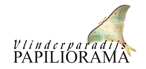 Logo Vlinderparadijs Papiliorama